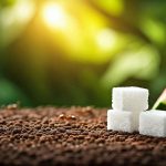 Comment se débarrasser des fourmis sans les tuer