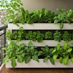 Aménager un potager vertical pour gagner de la place
