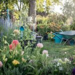 Comment entretenir vos outils de jardin avant de les ranger pour l’hiver : les 3 étapes cruciales