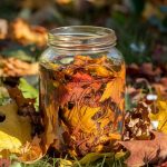 Cette astuce transforme les feuilles mortes en un engrais liquide puissant et gratuit